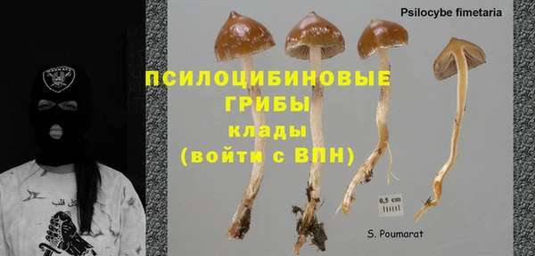хмурый Алексин