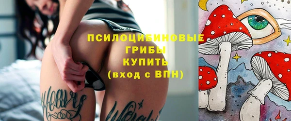 ГАЛЛЮЦИНОГЕННЫЕ ГРИБЫ Абаза