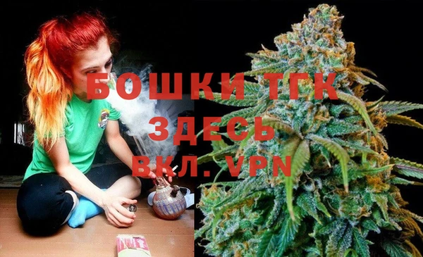 ГАЛЛЮЦИНОГЕННЫЕ ГРИБЫ Абаза