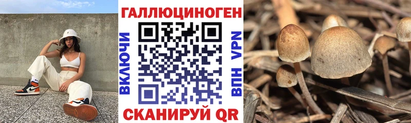 Псилоцибиновые грибы ЛСД  Шарыпово 