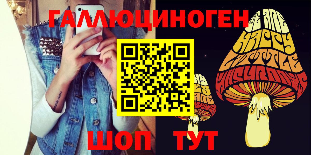 Шарыпово  Галлюциногенные грибы Cubensis  Вход с VPN 