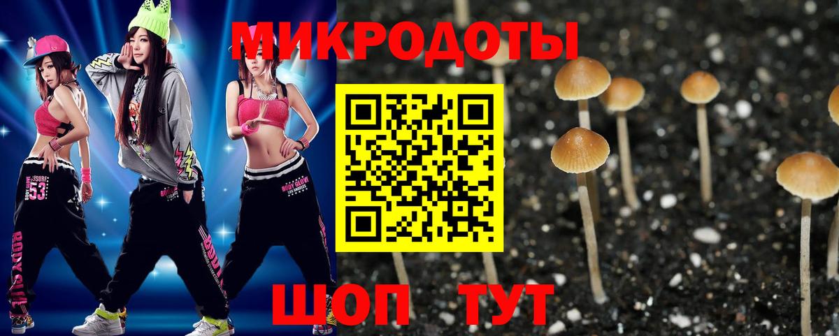 Галлюциногенные грибы Cubensis Шарыпово